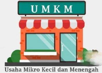 umkm