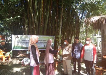 umkm mitra binaan pln