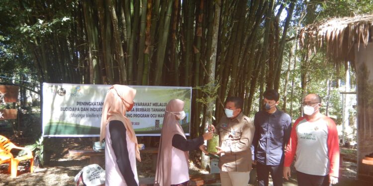 umkm mitra binaan pln