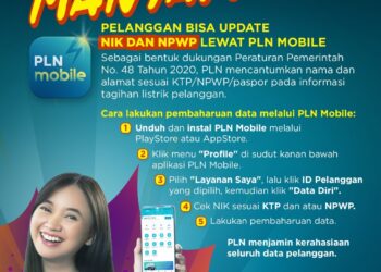 perbaharui nik dan npwp kini pelanggan bisa lewat pln mobile