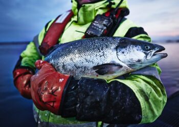 Kantongi Sertifikasi MSC dan ASC, IKEA Indonesia Hadirkan Produk Perikanan Ramah Lingkungan dan Berkelanjutan 