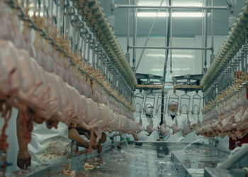 Luncurkan Program Kerjasama Operasi (KSO), Hasta INC dan Arwinda Perwira Utama Optimis Wujudkan Industri Peternakan Ayam Mutakhir dari Hulu ke Hilir