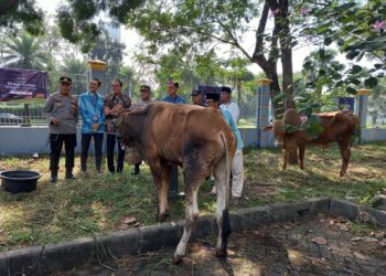 HERO Group Berbagi Hewan Kurban untuk Masyarakat Tangerang Selatan dan Sekitarnya