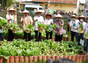 Wujudkan Lingkungan Hijau Berkelanjutan, Sinar Mas Land Gelar Festival Hijau BSD Ke-19