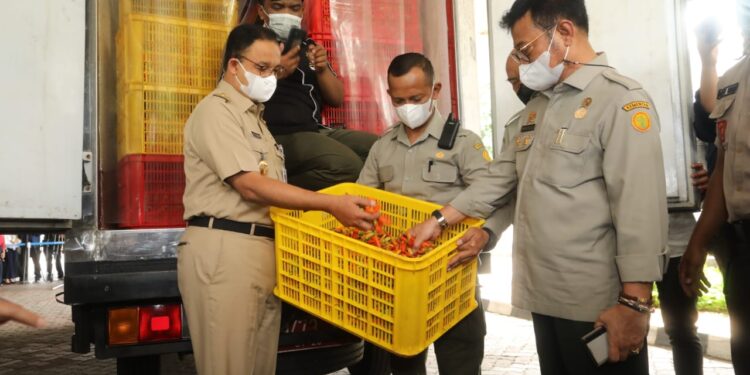 Jelang Idul Adha, Kementan Siapkan Kebutuhan Pangan di Wilayah DKI Jakarta