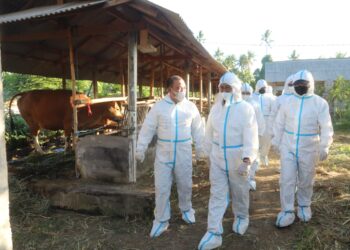 Mentan Pastikan Pengawasan PMK di Bali