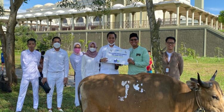 JamSyar Salurkan 24 Ekor Sapi Kurban untuk Masyarakat Sekitar
