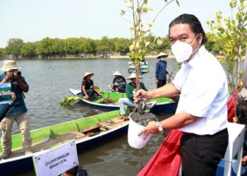 Hadiri Hari Mangrove Sedunia, Al Muktabar Ajak Semua Pihak Lestarikan Lingkungan