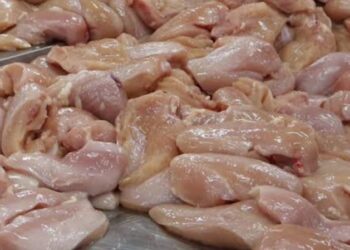 Singapura Setujui Indonesia Pasok Ayam dan Produknya