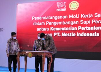 Kementan Gandeng PT. Nestle Tingkatkan Produksi Susu di Indonesia