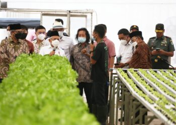 Pj Gubernur Banten Al Muktabar Dampingi Wapres KH Ma’ruf Amin Meninjau PT Singapura Fresh Green Makmur