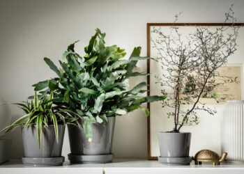 IKEA Indonesia Bagikan Rekomendasi Kegiatan untuk Memulai Gaya Hidup Sehat