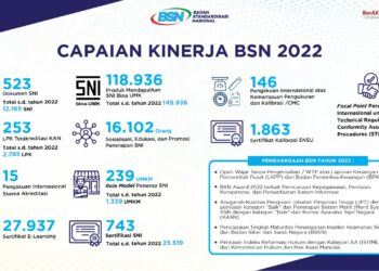 BSN : Standardisasi dan Penilaian Kesesuaian Merupakan Katalisator Pemulihan Ekonomi Nasional
