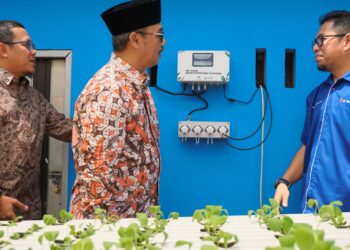Wujudkan Pesantren Digital Solusi IoT XL Axiata untuk Budidaya Maggot dan Hidroponik