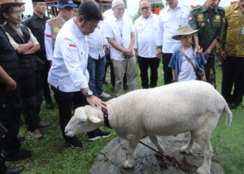 Mentan SYL Ajak Para Peternakan di Kabupaten Bogor Penuhi Kebutuhan Daging Lokal