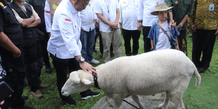 Mentan SYL Ajak Para Peternakan di Kabupaten Bogor Penuhi Kebutuhan Daging Lokal