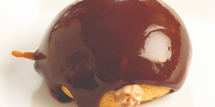 Chewy Junior: Raih Peluang Menjadi Franchisee di Indonesia!