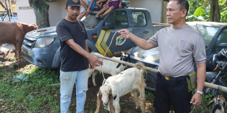 Idul Adha 1444 H dan Sambut Hari Bhayangkara Ke-77 Polres Tangsel Bagikan 71 Hewan Qurban.