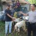 Idul Adha 1444 H dan Sambut Hari Bhayangkara Ke-77 Polres Tangsel Bagikan 71 Hewan Qurban.