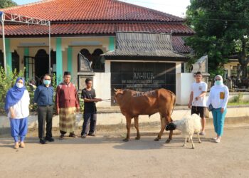 Siloam Hospitals Group Salurkan Puluhan Hewan Kurban untuk Masyarakat Sekitar