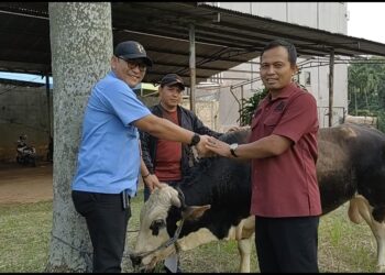 Idul Adha 1444 H, PT Indah Kiat Pulp & Paper Bagikan Puluhan Hewan Kurban