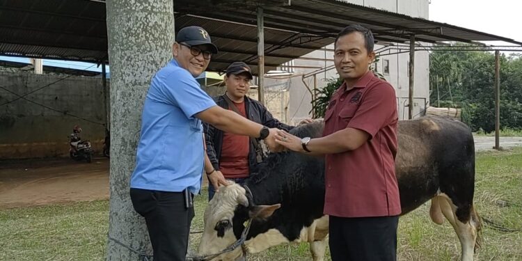 Idul Adha 1444 H, PT Indah Kiat Pulp & Paper Bagikan Puluhan Hewan Kurban