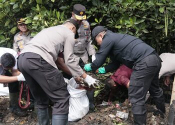 Kapolda Metro Jaya dan Pasukannya Bersihkan Sampah di Kawasan Mangrove Muara Angke