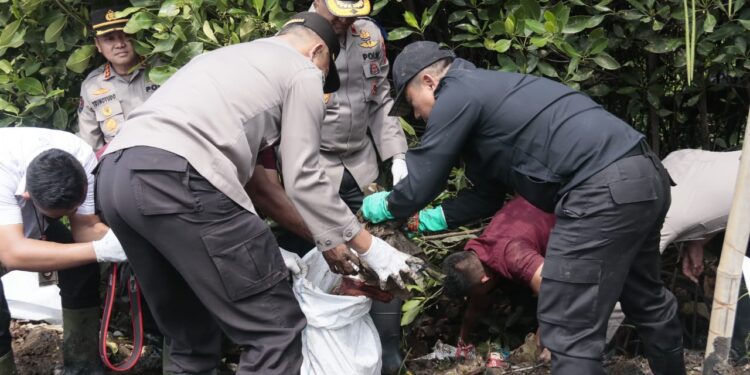 Kapolda Metro Jaya dan Pasukannya Bersihkan Sampah di Kawasan Mangrove Muara Angke