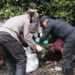 Kapolda Metro Jaya dan Pasukannya Bersihkan Sampah di Kawasan Mangrove Muara Angke