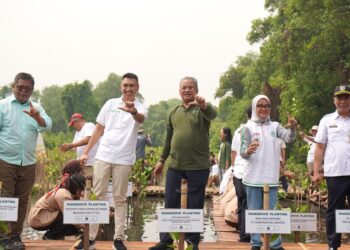 Peringati Hari Mangrove Sedunia, Apical Percepat Perlindungan Ekosistem dengan Penanaman 3.000 Pohon Mangrove di Jakarta