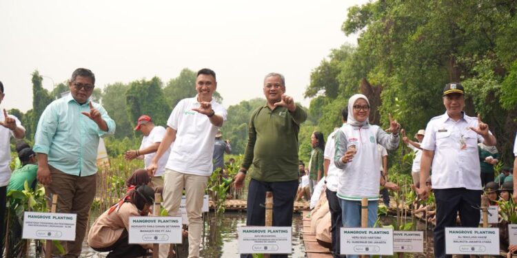 Peringati Hari Mangrove Sedunia, Apical Percepat Perlindungan Ekosistem dengan Penanaman 3.000 Pohon Mangrove di Jakarta