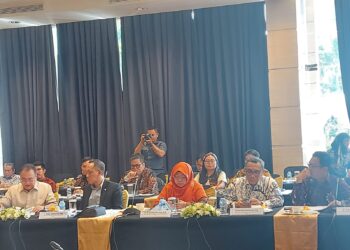 Anis Ingatkan PT SMI Agar Memiliki Strategi Bagi Pinjaman Daerah yang Melewati Masa Jabatan Kepala Daerahnya