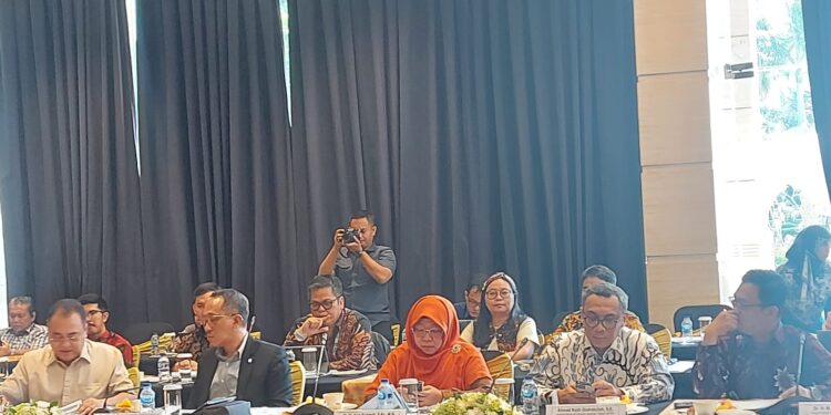 Anis Ingatkan PT SMI Agar Memiliki Strategi Bagi Pinjaman Daerah yang Melewati Masa Jabatan Kepala Daerahnya