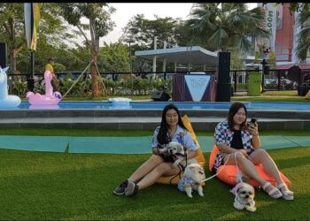 Paws Dog Dream Park: Tempat Seru untuk Bermain dengan Anabul Kesayangan di Summarecon Mall Serpong