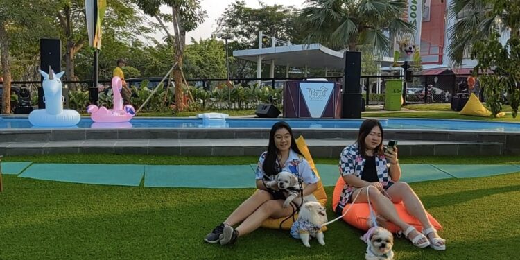 Paws Dog Dream Park: Tempat Seru untuk Bermain dengan Anabul Kesayangan di Summarecon Mall Serpong