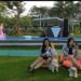 Paws Dog Dream Park: Tempat Seru untuk Bermain dengan Anabul Kesayangan di Summarecon Mall Serpong