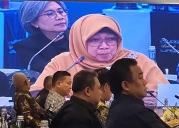 Anggota Komisi XI DPR RI Anis Byarwati Berharap BRI Tingkatkan  Layanan BRI Link