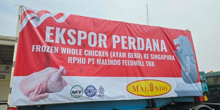 Tambahkan Nilai Ekspor di Penghujung Tahun, Indonesia Kirim Lagi Ayam Beku ke Singapura