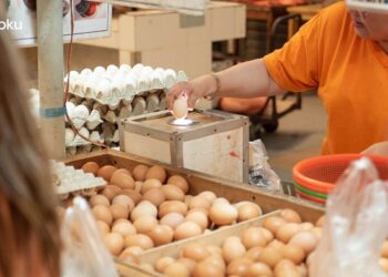 Lewat Program #PastiAman Titipku Beri Jaminan Pengiriman Telur, Tidak Lagi Khawatir Pecah