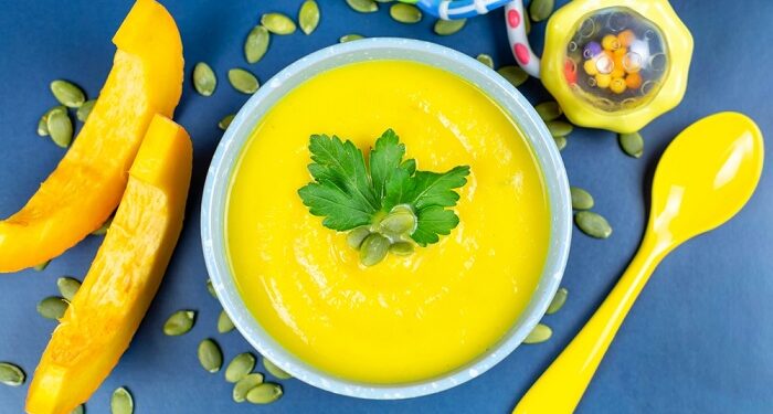 Mengenal MPASI dan Rekomendasi MPASI Anak Usia 6 – 9 Bulan