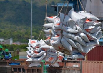 Mengimpor Pakan Tanpa Ijin, Mentan Tindak Tegas Importir