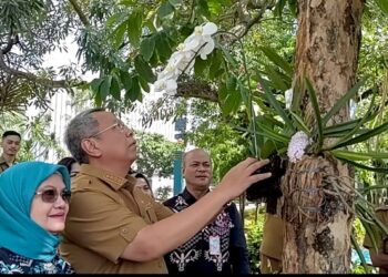 Jadi Ikon Tangsel, Benyamin Ajak untuk Menanam Anggrek