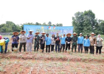 Pemkot Tangsel Berhasil Panen Bawang Merah, Wujudkan Kemandirian Pangan