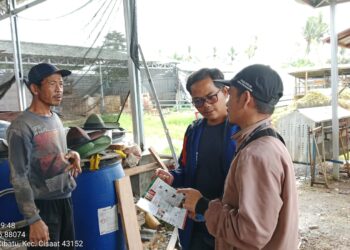 Kendalikan PMK Jelang Ramadhan, Kementan Lakukan Percepatan Vaksinasi PMK