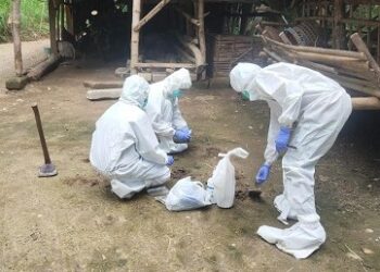 Kementan Respon Cepat Laporan Anthrax di Gunung Kidul dan Sleman
