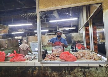 Kementan Terus Pantau Ketersediaan Telur dan Daging Ayam di Pasaran Selama Ramadhan