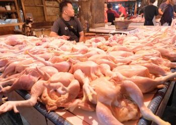 10 Hari Jelang Lebaran, Kementan Pastikan Ketersediaan Pangan Asal Ternak
