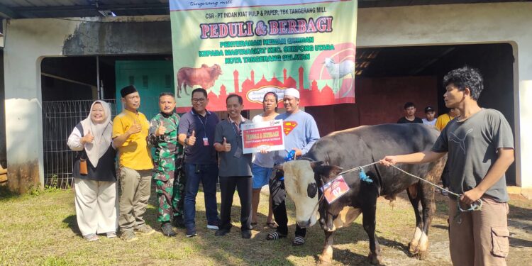 Idul Adha 2024, IKPP Tangerang Bagikan Sapi dan Kambing ke Masyarakat Sekitar