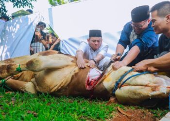 Iduladha 1445 Hijriah, Pilar Sembelih Langsung Hewan Kurban