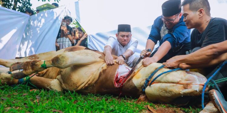 Iduladha 1445 Hijriah, Pilar Sembelih Langsung Hewan Kurban